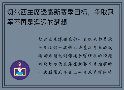切尔西主席透露新赛季目标，争取冠军不再是遥远的梦想