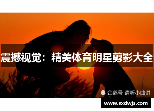 震撼视觉：精美体育明星剪影大全